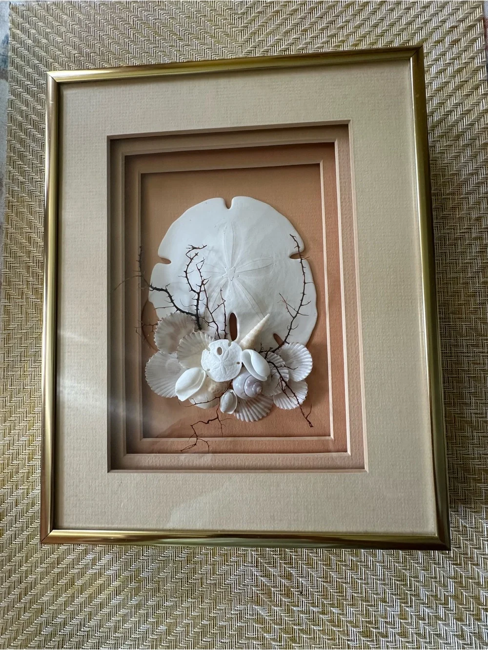 Gold framed shadow box wall art with sand dollar and shells